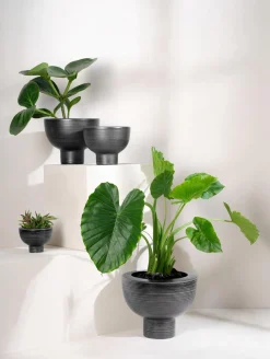 übertopf auf fuß, black