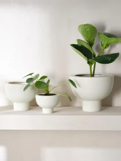 übertopf auf fuß, soft shell