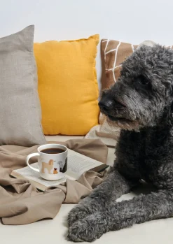 henkelbecher, basset hound