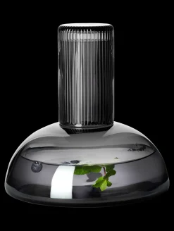 karaffe mit trinkglas, grey