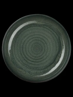 poké fusion plate, ocean