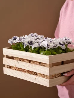 stiefmütterchen in papier, 6er set