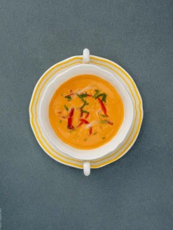 suppentasse mit 2 henkeln