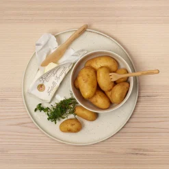 teekanne mit holzgriff, sencha