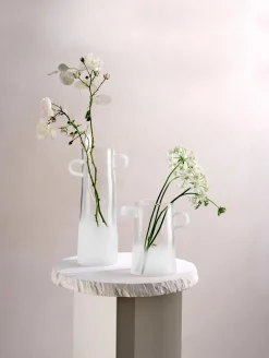 vase, frosted